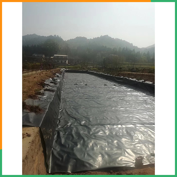 商丘防渗膜厚度可定制-AG贵宾会-沉淀池防渗膜厚度可定制